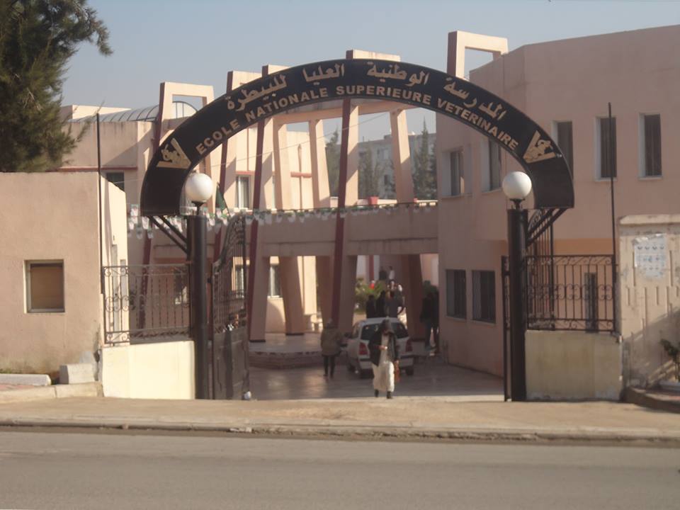 المدرسة الوطنية العليا للبيطرة
