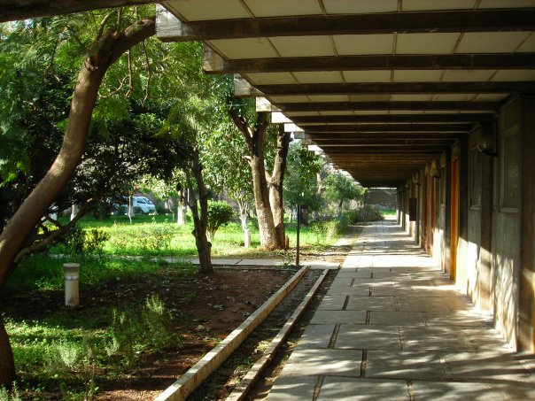 المدرسة متعددة العلوم للهندسة المعمارية و العمران