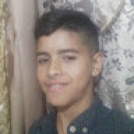 الطائر الحر