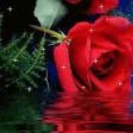 ملكة الحجاب