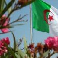 عاشقة الجزائر