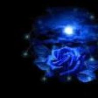 مجتهدة دائمة